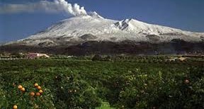 etna e agrumi